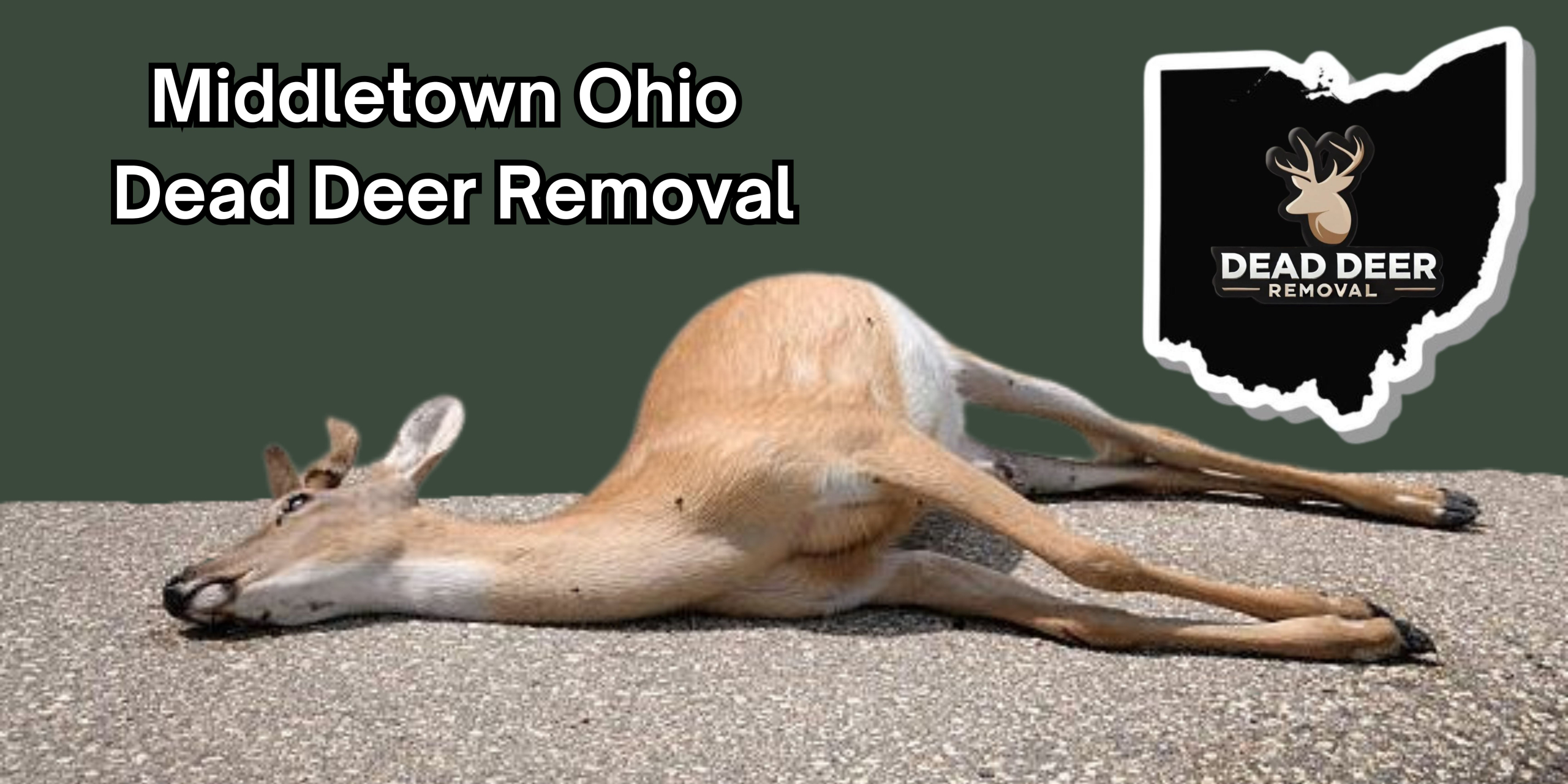 Middletown Ohio dead deer removal An image of a dead deer on the grond in Middletown ohio with a logo of dead deer removal