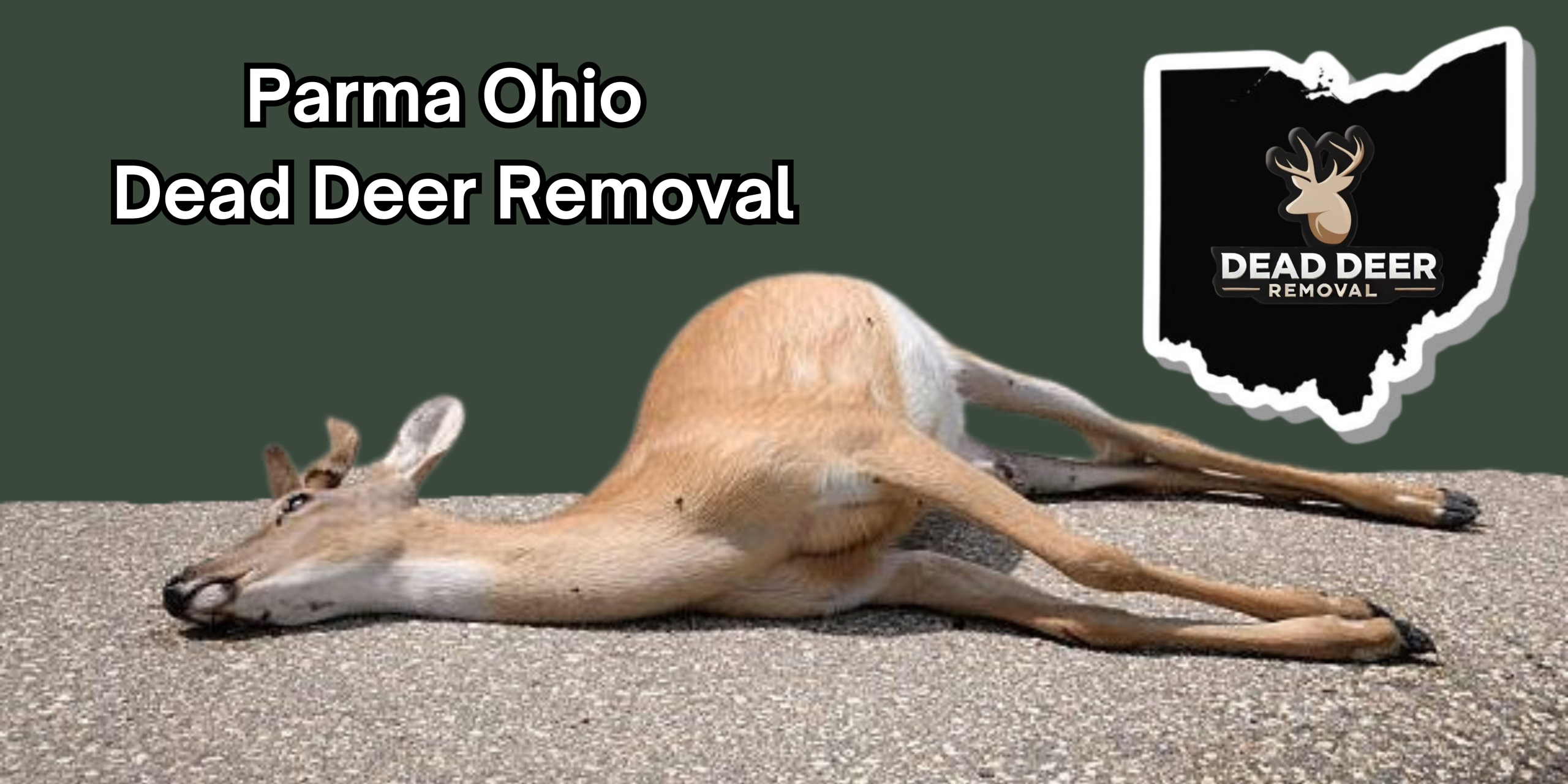 Parma Ohio Dead Deer Removal An image of a dead deer on the grond in Parma ohio with a logo of dead deer removal
