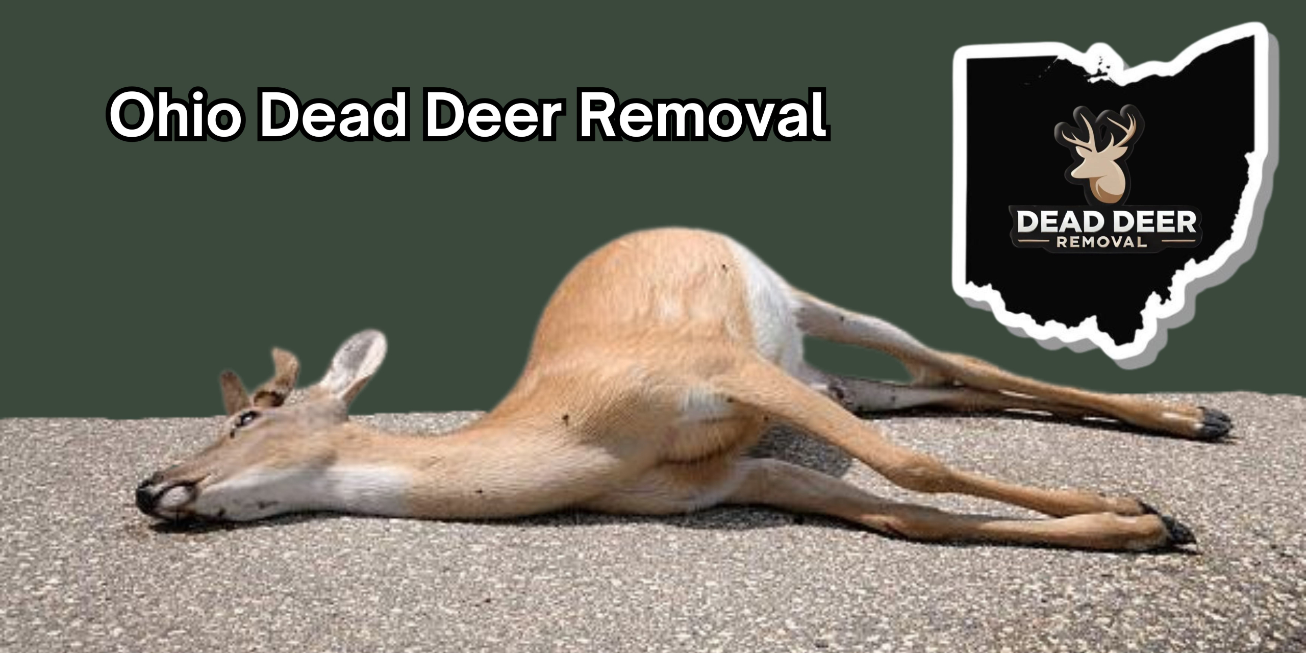 Your paragraph text Ohio Dead Deer Removal